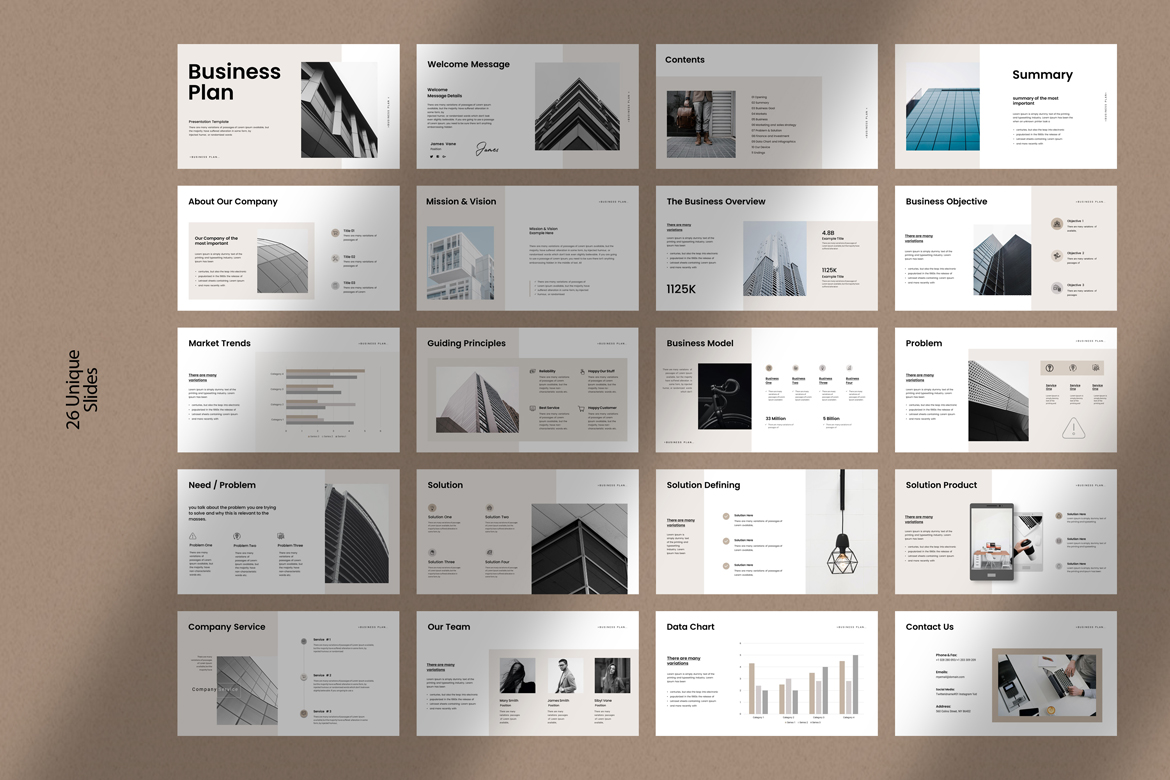 Business Plan Presentation Template image 9