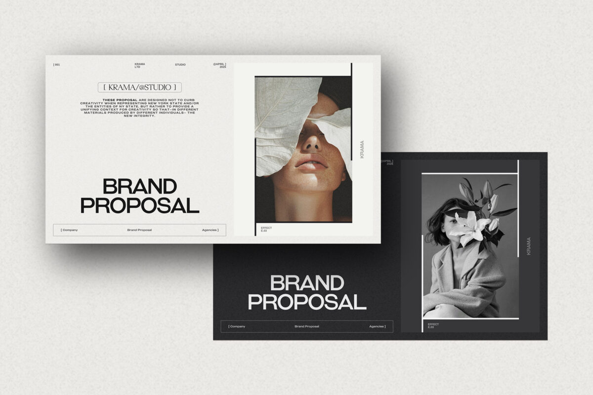 Brand Proposal InDesign image 10